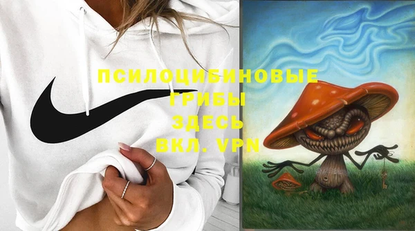 соль ск Балахна