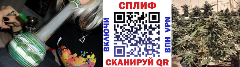 Бошки Шишки индика  Купить где  Буй 